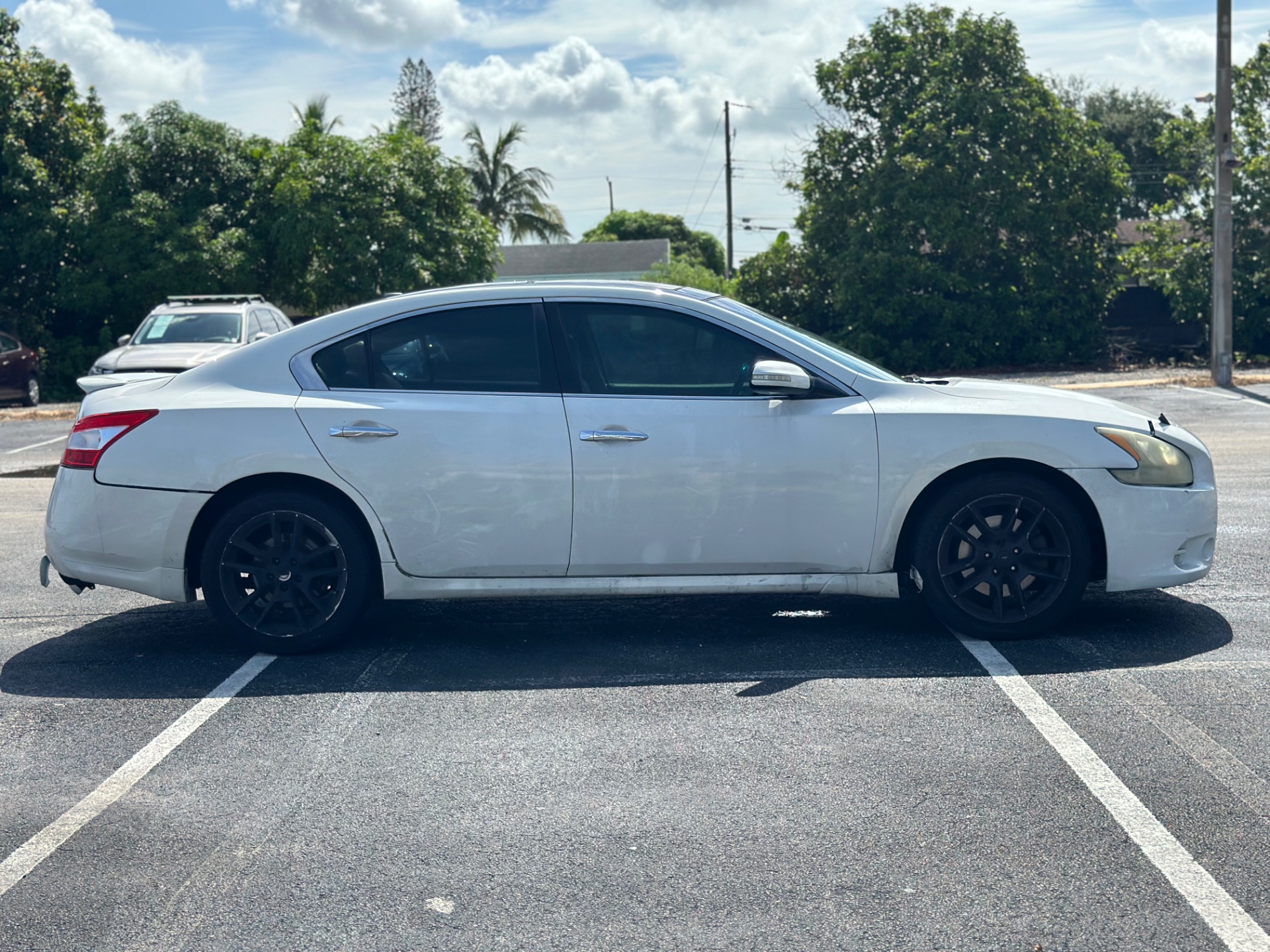 Florida Fine Cars - Used vehicle - SEDAN NISSAN MAXIMA 2011