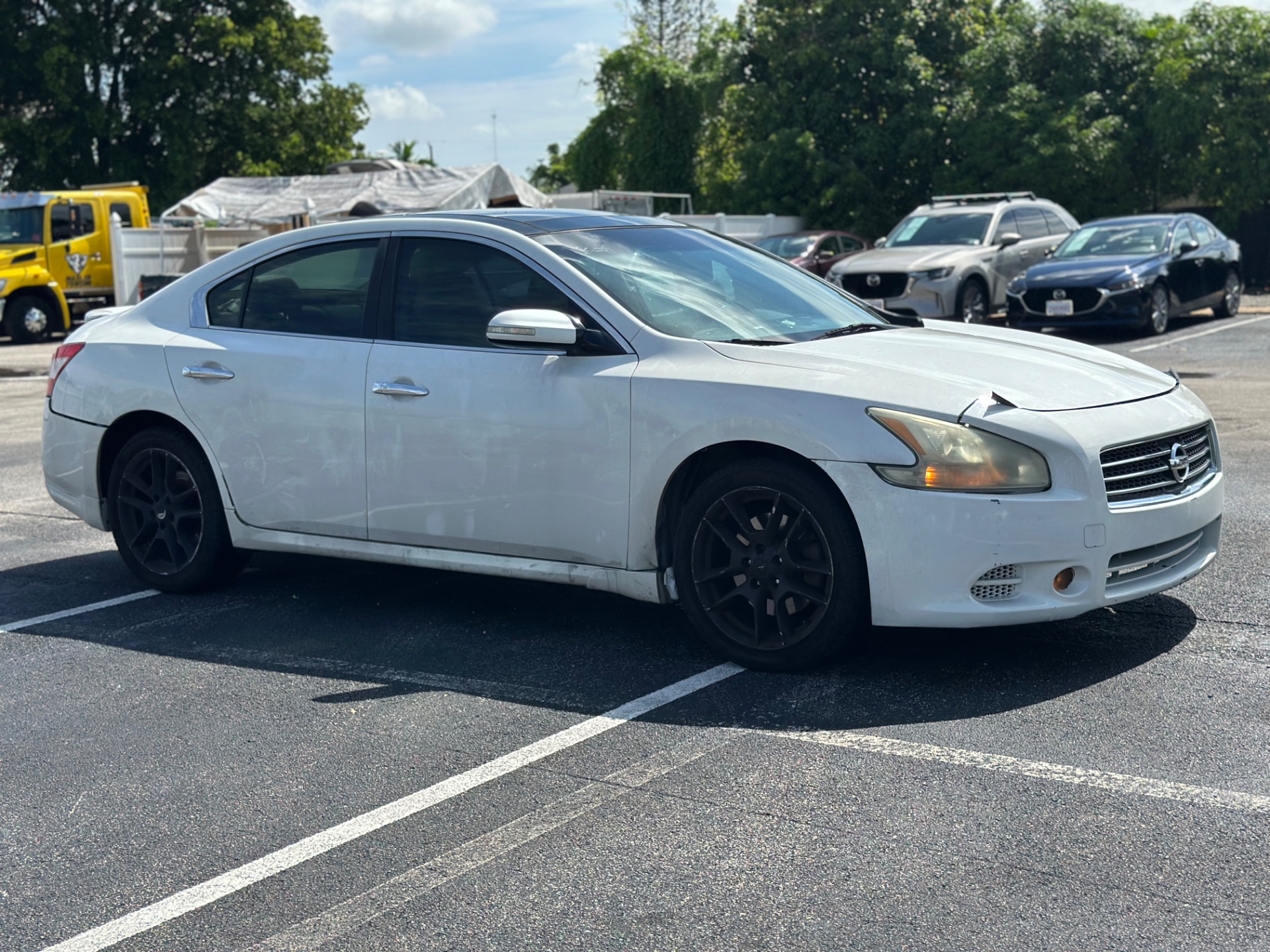 Florida Fine Cars - Used vehicle - SEDAN NISSAN MAXIMA 2011