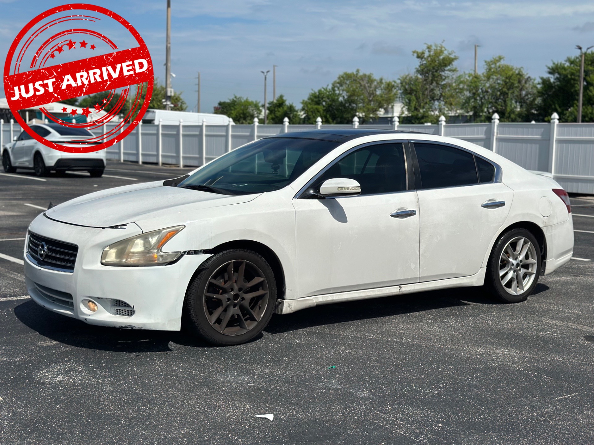 Florida Fine Cars - Used vehicle - SEDAN NISSAN MAXIMA 2011