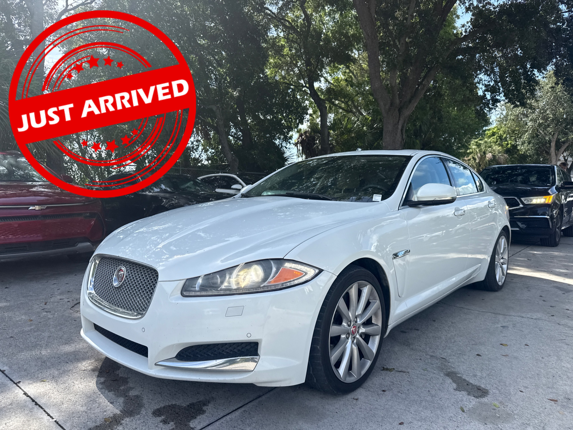 Florida Fine Cars - Used vehicle - SEDAN JAGUAR XF 2014