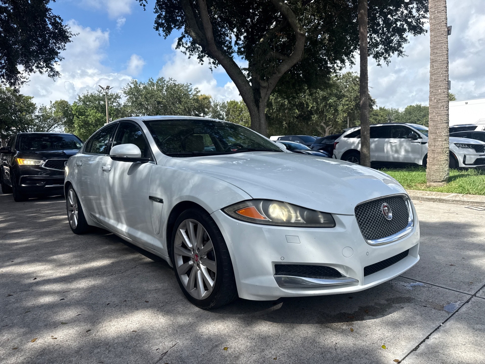 Florida Fine Cars - Used vehicle - SEDAN JAGUAR XF 2014
