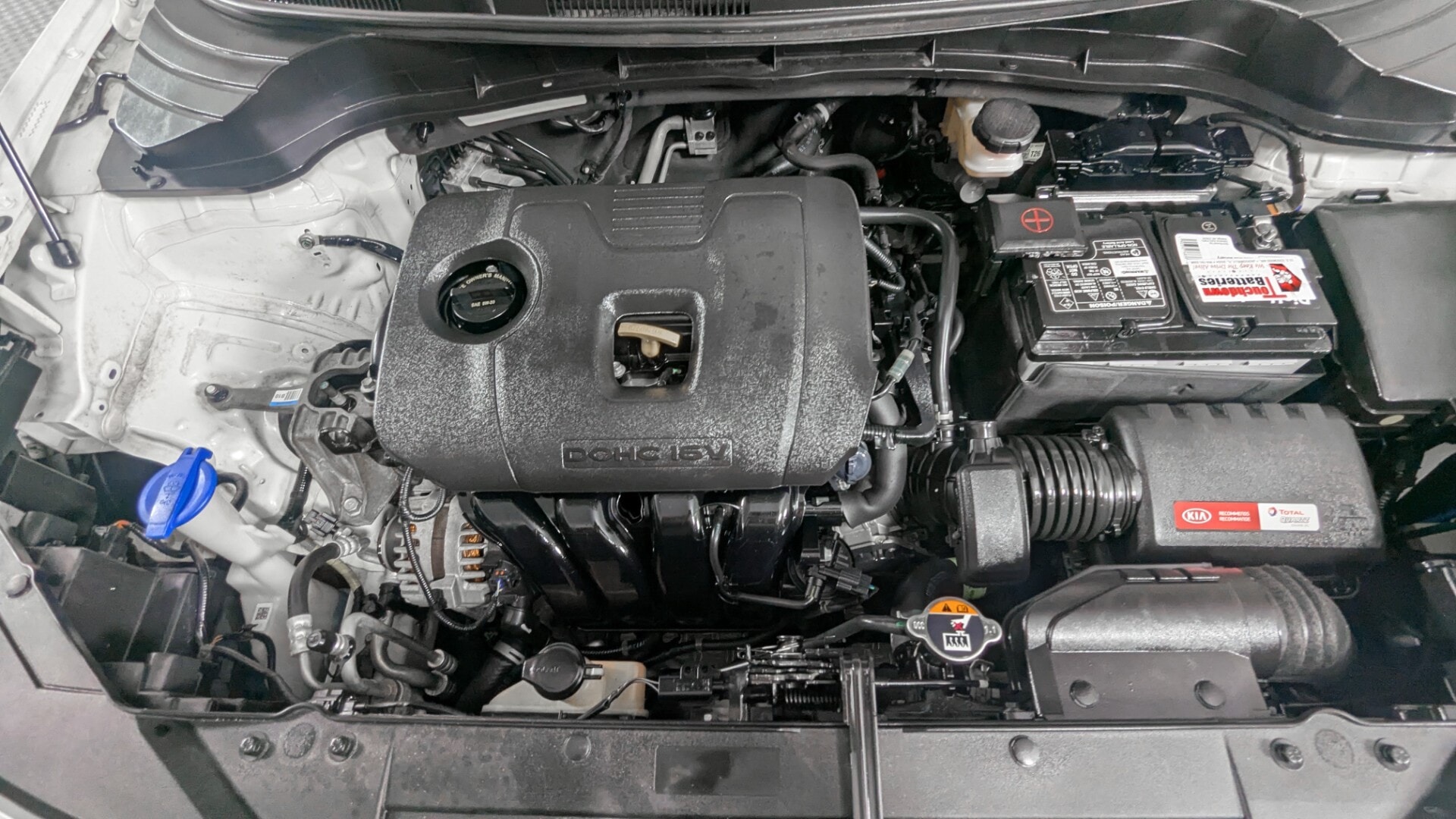 Florida Fine Cars - Used vehicle - SEDAN KIA SOUL 2021