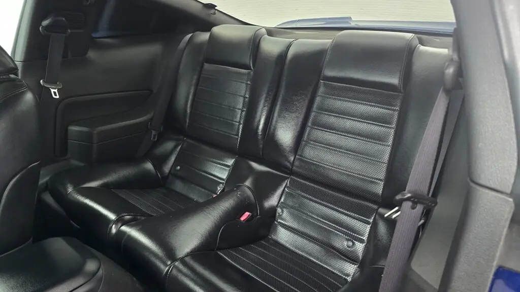 2006 FORD MUSTANG GT DELUXE photo 10