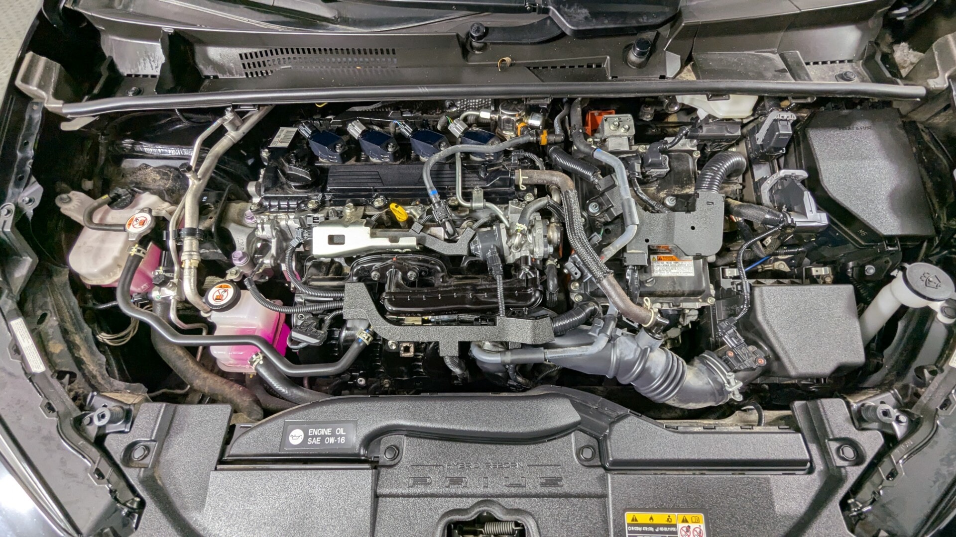 Florida Fine Cars - Used vehicle - SEDAN TOYOTA PRIUS 2024