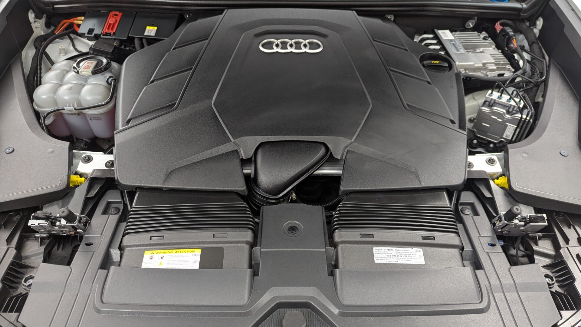 Florida Fine Cars - Used vehicle - SUV AUDI Q8 2023
