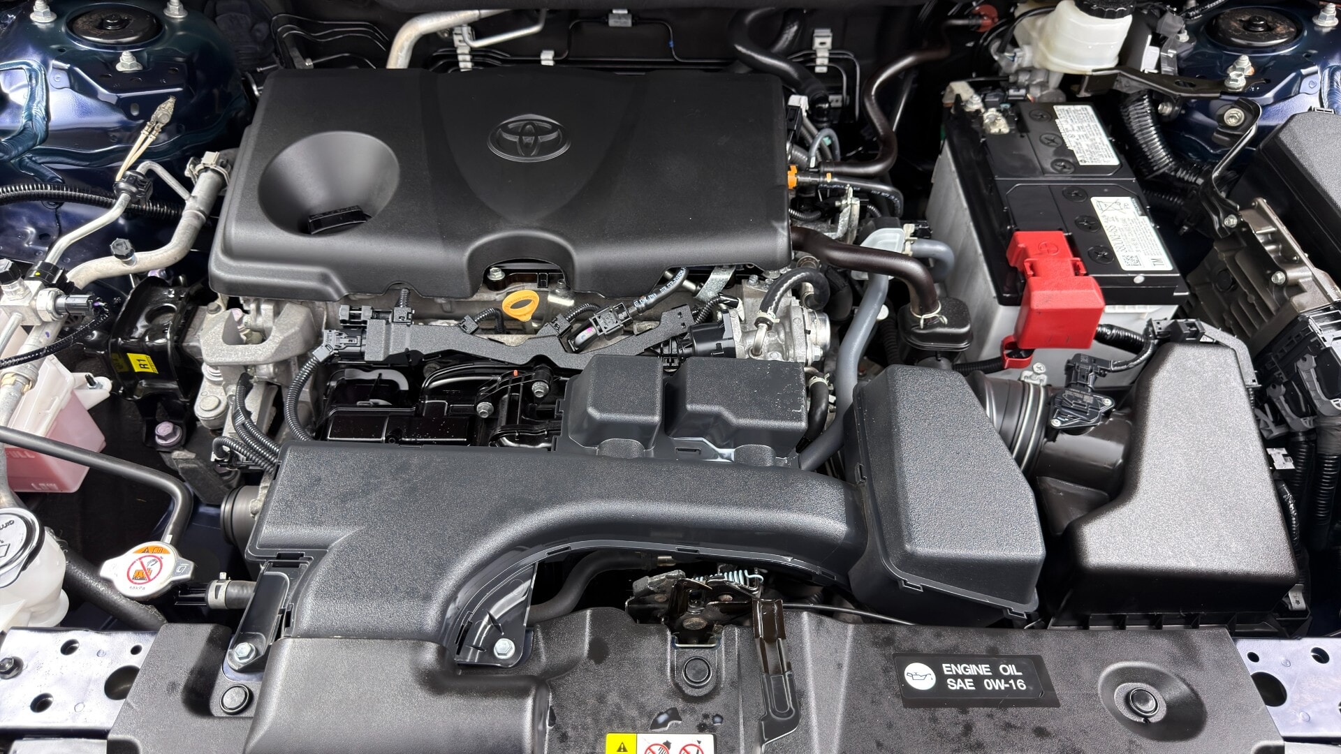 Florida Fine Cars - Used vehicle - SUV TOYOTA RAV4 2024