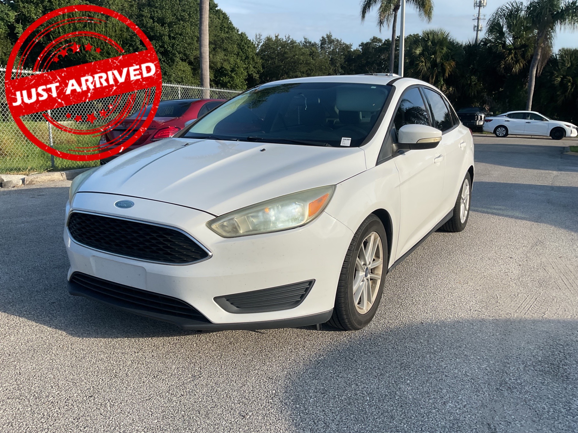 Florida Fine Cars - Used vehicle - SEDAN FORD FOCUS 2015