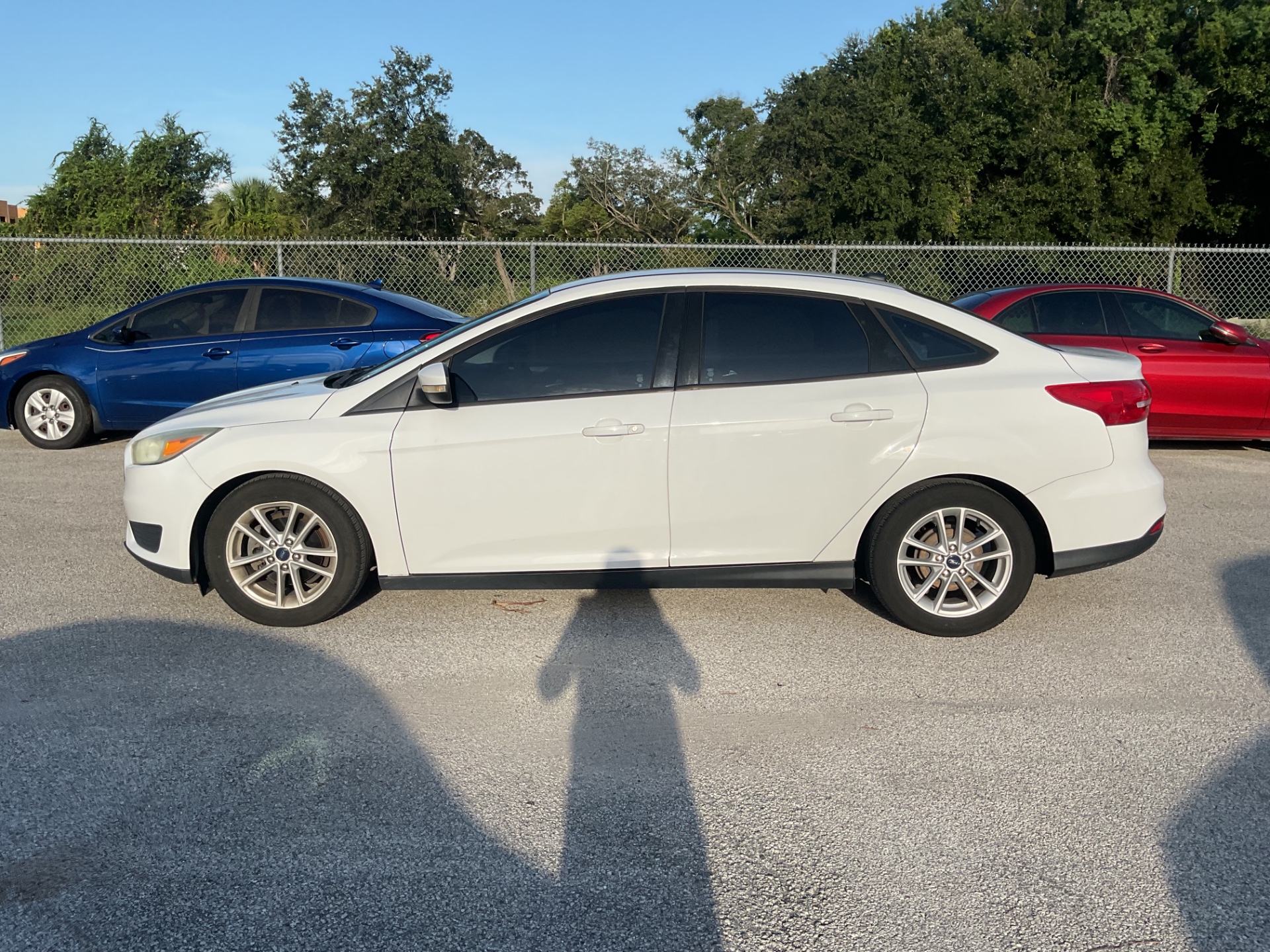 Florida Fine Cars - Used vehicle - SEDAN FORD FOCUS 2015