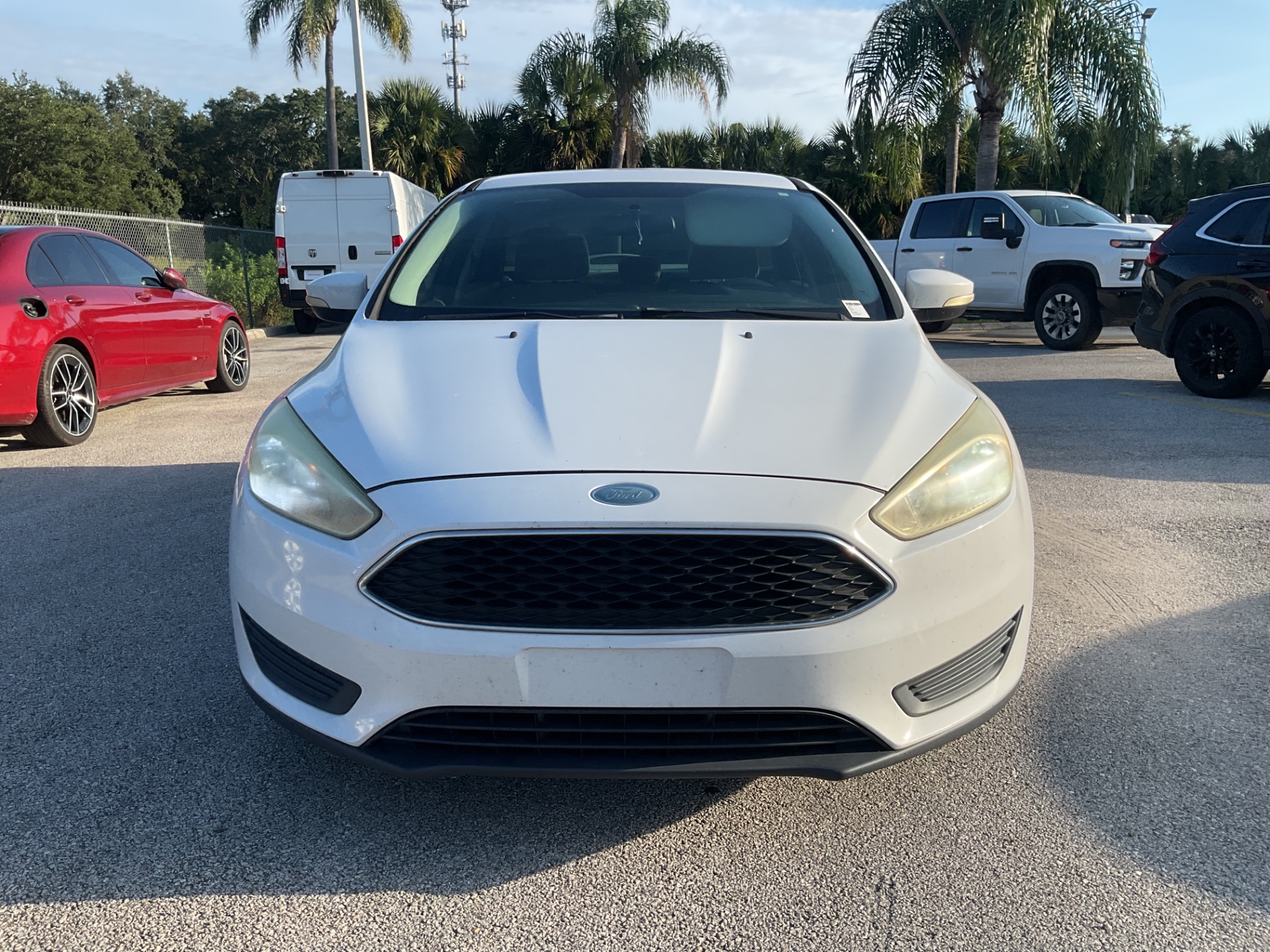 Florida Fine Cars - Used vehicle - SEDAN FORD FOCUS 2015