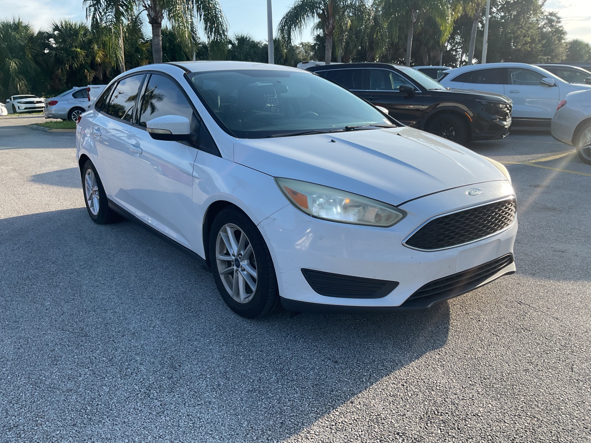 Florida Fine Cars - Used vehicle - SEDAN FORD FOCUS 2015