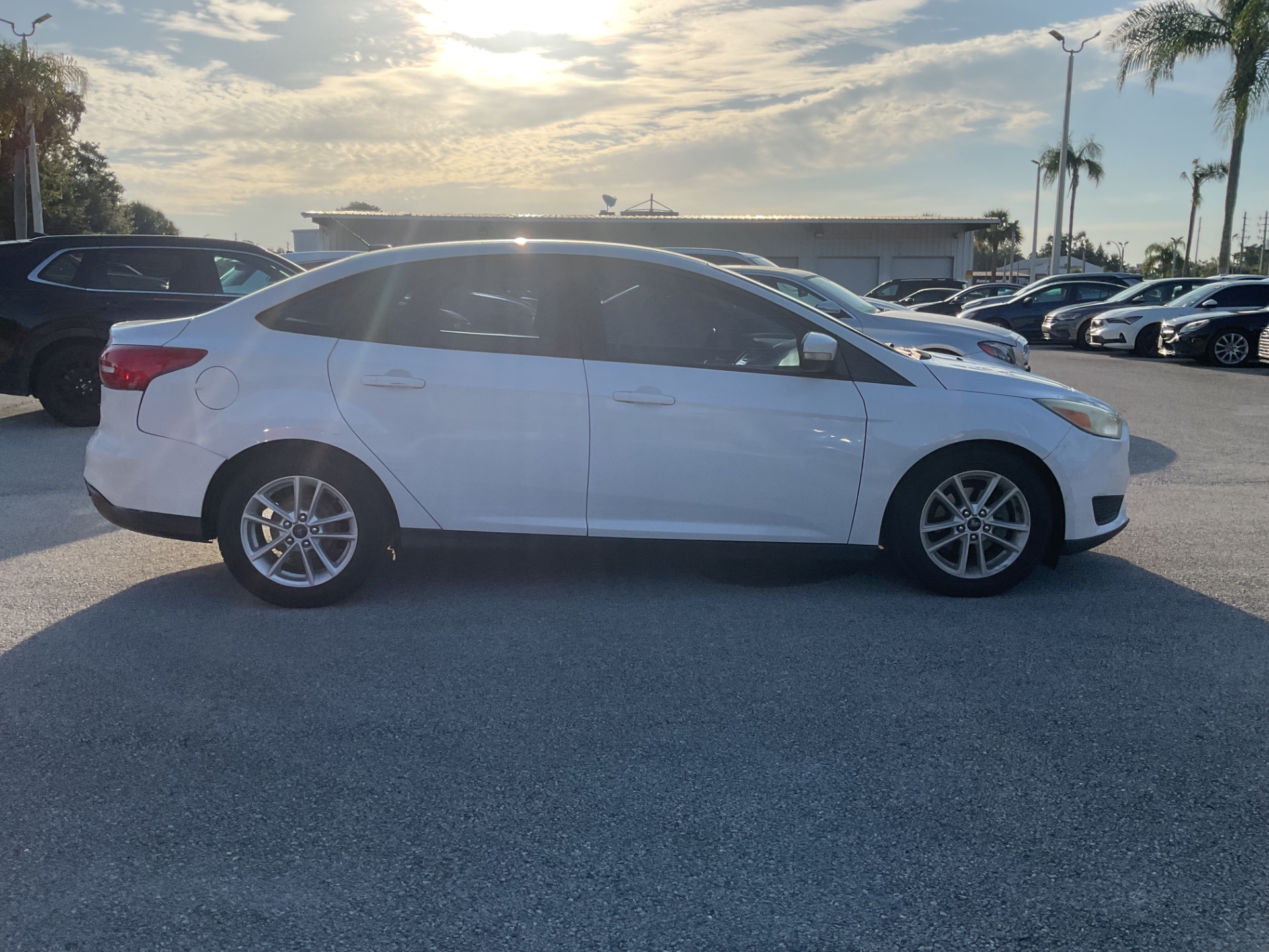 Florida Fine Cars - Used vehicle - SEDAN FORD FOCUS 2015