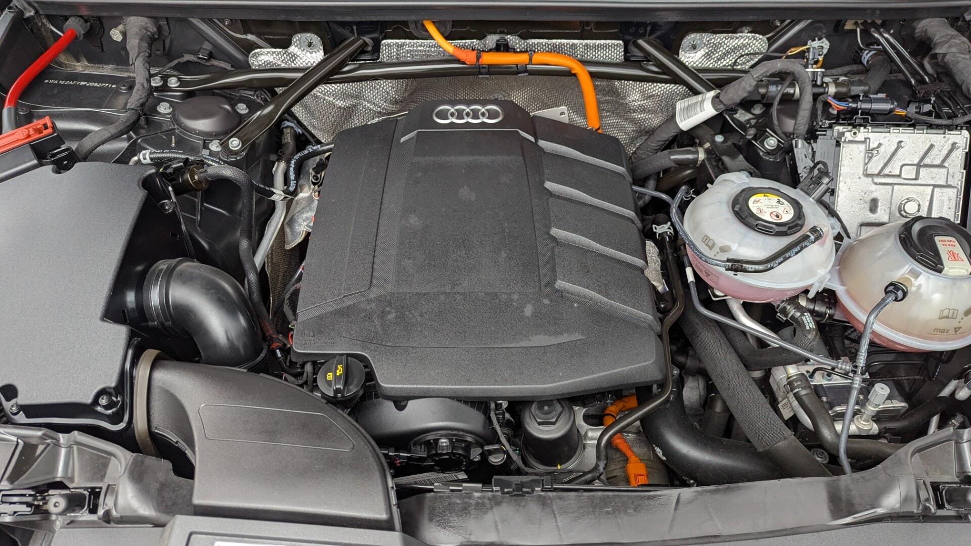 Florida Fine Cars - Used vehicle - SUV AUDI Q5 2023