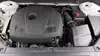 Florida Fine Cars - Used VOLVO XC90 2019 WEST PALM MOMENTUM