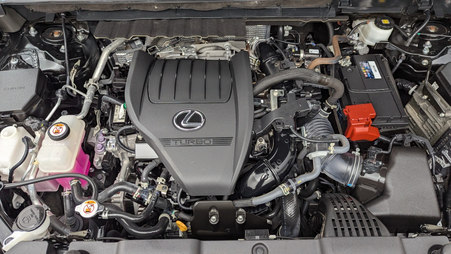 Florida Fine Cars - Used vehicle - SUV LEXUS NX 2023