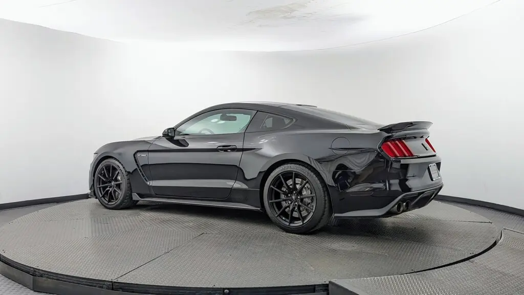 2016 FORD MUSTANG SHELBY GT350R photo 5