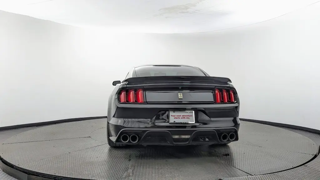 2016 FORD MUSTANG SHELBY GT350R photo 6