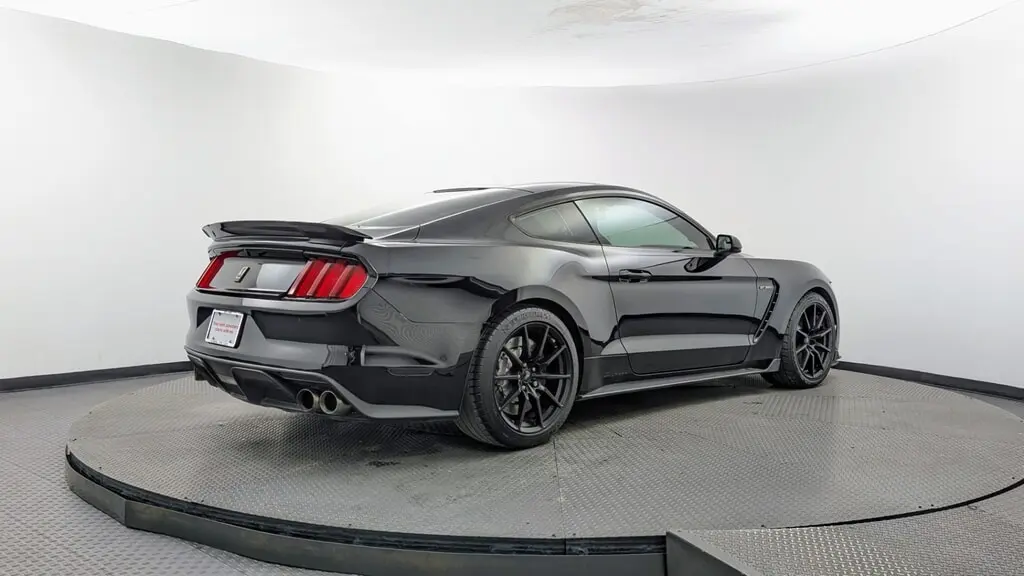 2016 FORD MUSTANG SHELBY GT350R photo 7