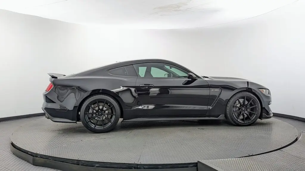 2016 FORD MUSTANG SHELBY GT350R photo 8