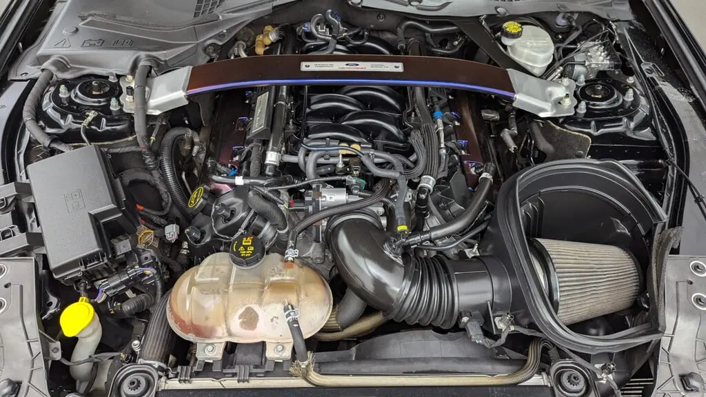 2016 FORD MUSTANG SHELBY GT350R photo 24