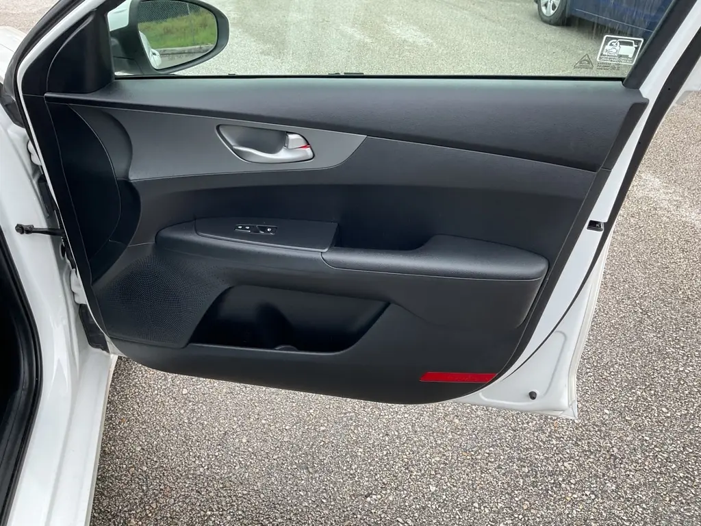 Florida Fine Cars - Used KIA FORTE 2019 ORLANDO LXS