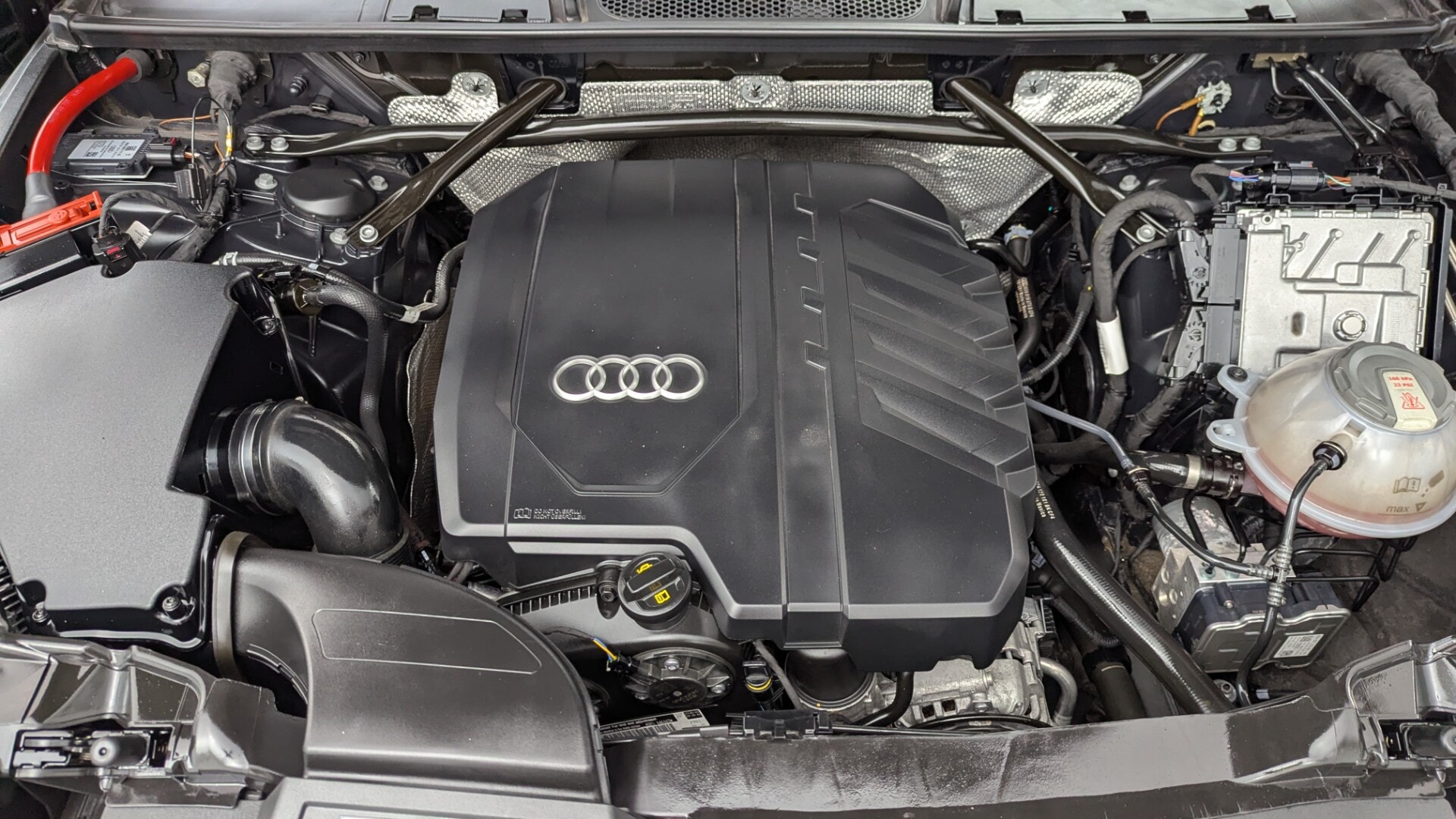 Florida Fine Cars - Used vehicle - SUV AUDI Q5 2023