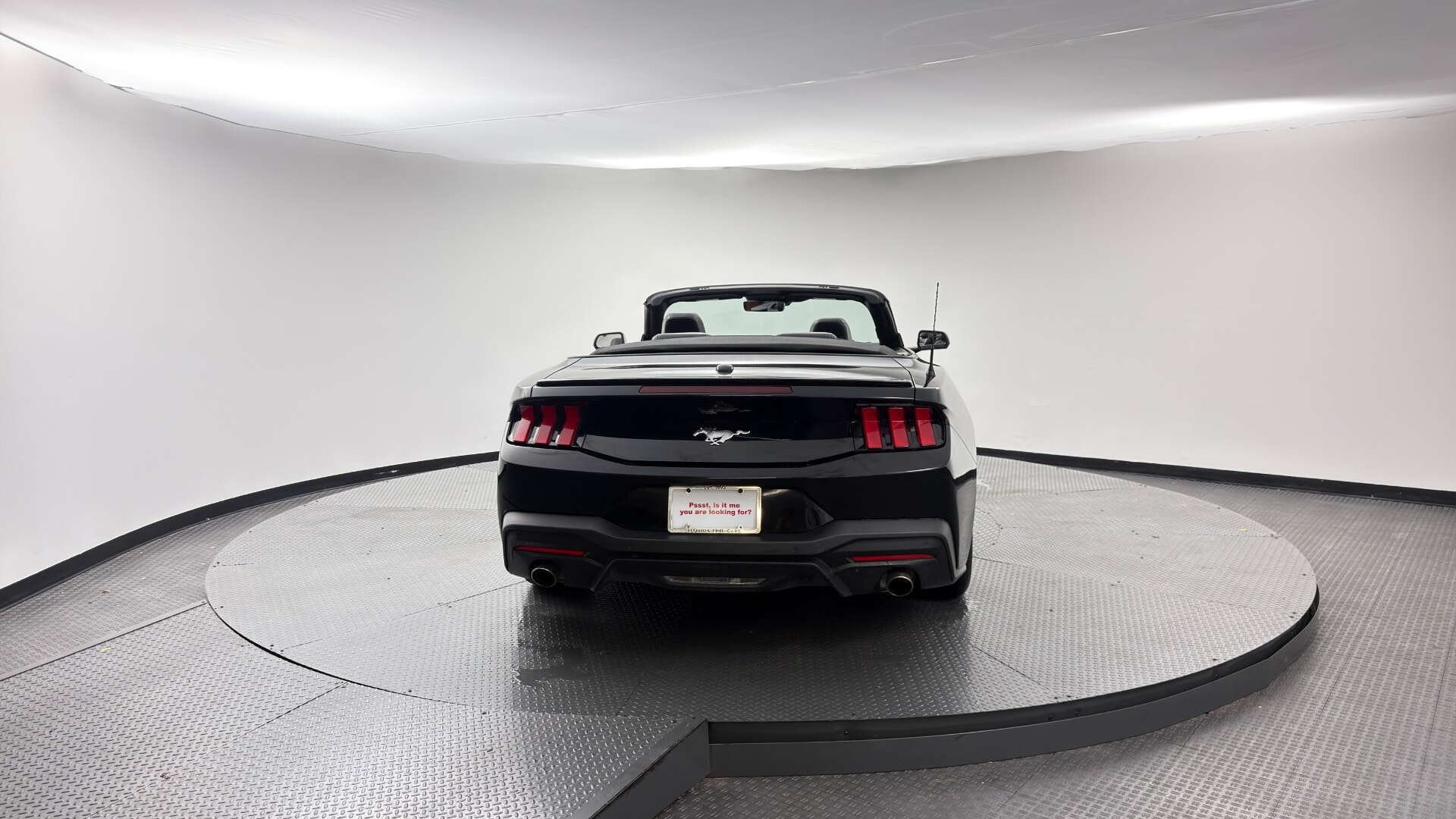 Florida Fine Cars - Used vehicle - CONVERTIBLE FORD MUSTANG 2024