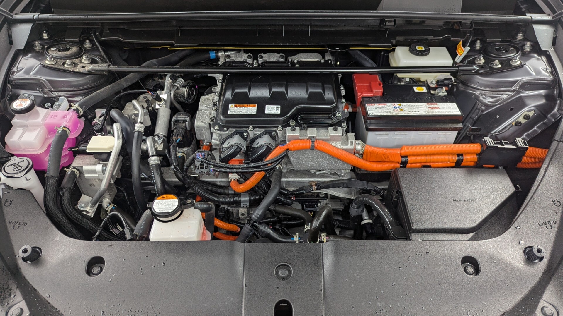 Florida Fine Cars - Used vehicle - SUV LEXUS RZ 2023