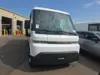 2024 BRIGHTDROP ZEVO 600 thumbnail 2