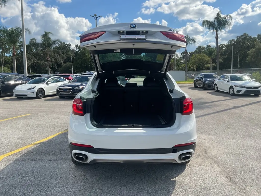 2018 BMW X6 XDRIVE35I photo 4
