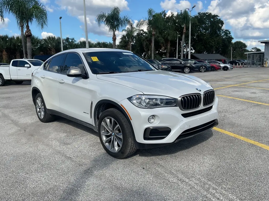2018 BMW X6 XDRIVE35I photo 10