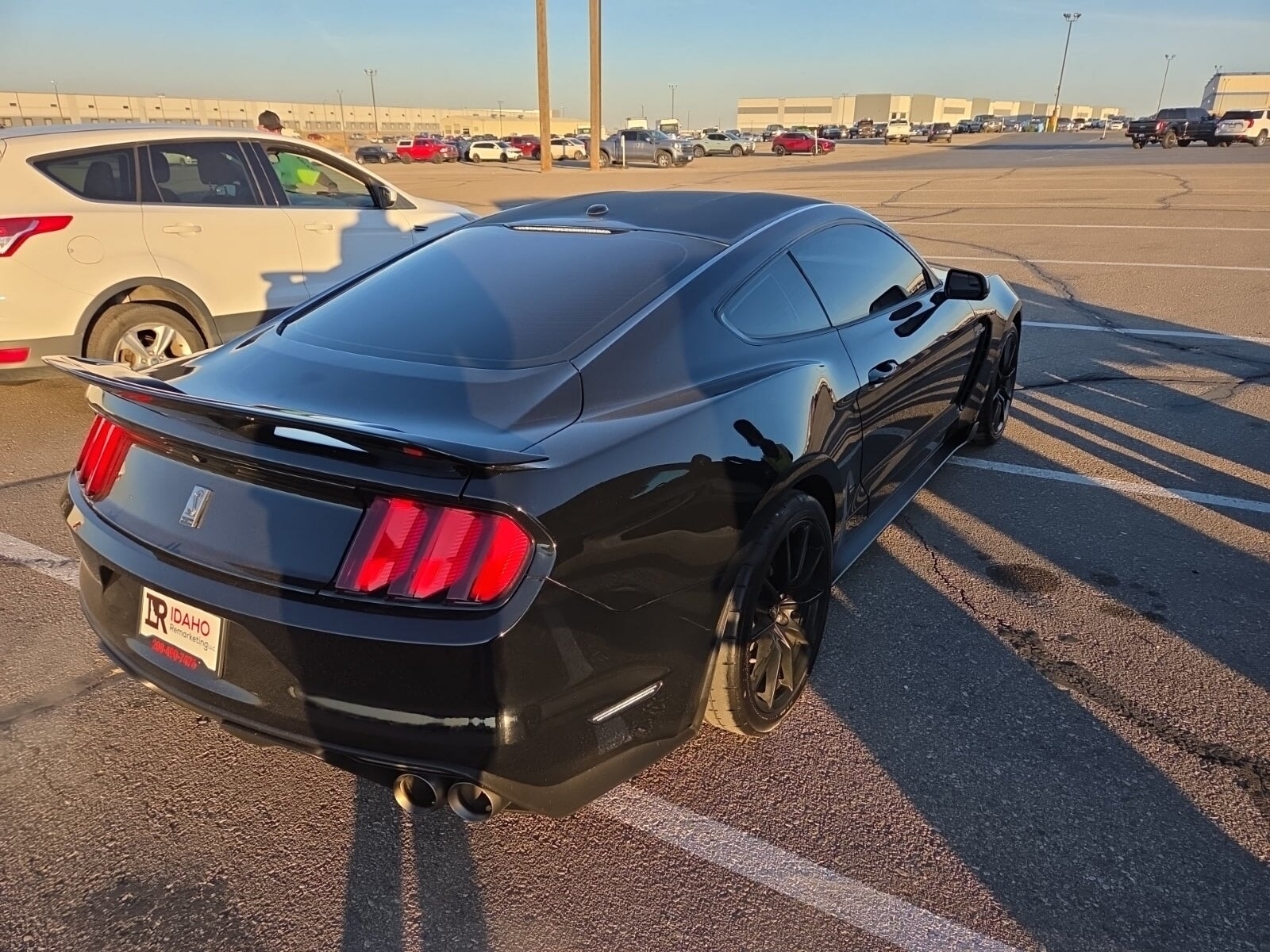 2018 FORD MUSTANG SHELBY GT350 photo 5