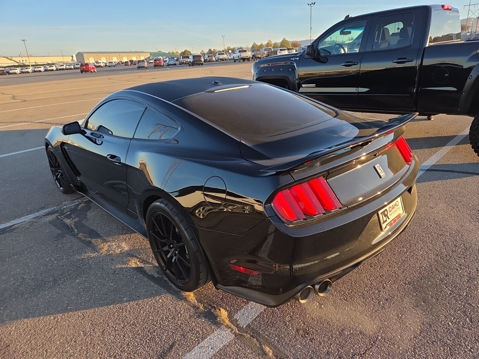2018 FORD MUSTANG SHELBY GT350 photo 6