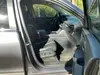 2025 HONDA PILOT EX-L thumbnail 17
