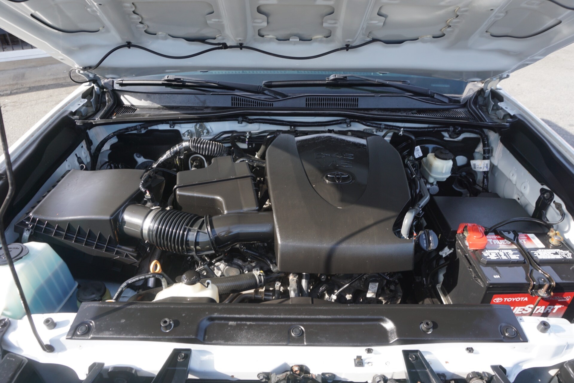 CARSCATCH - Used vehicle - TRUCK TOYOTA TACOMA 4WD 2021