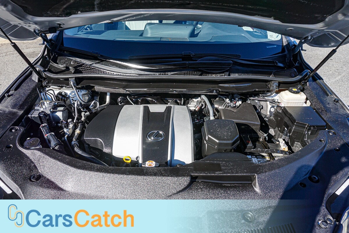 CARSCATCH - Used vehicle - SUV LEXUS RX 2019