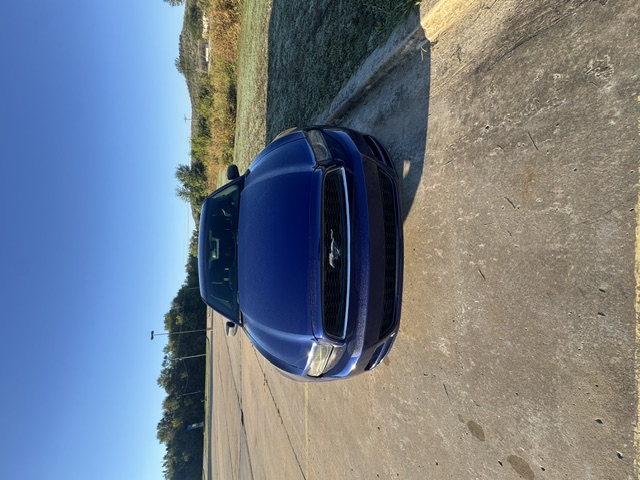 HARRIS AUTO SALES LLC - Used vehicle - COUPE FORD MUSTANG 2014