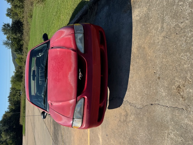 HARRIS AUTO SALES LLC - Used vehicle - COUPE FORD MUSTANG 1998