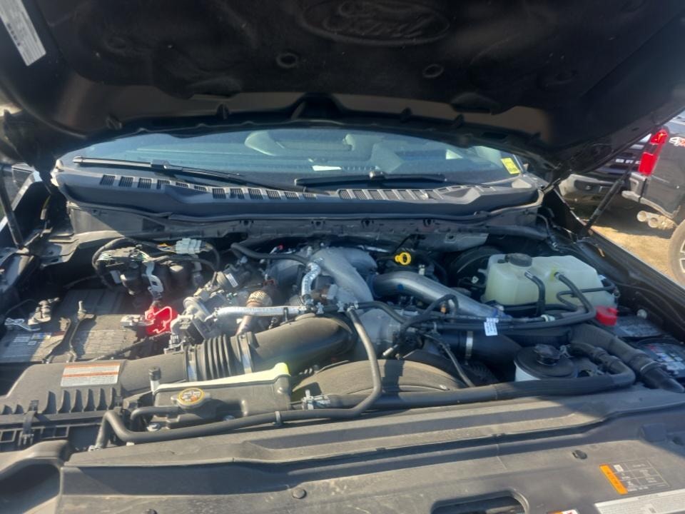 Car Connection Superstore - Used vehicle - TRUCK FORD F-250 SRW CREW 2025