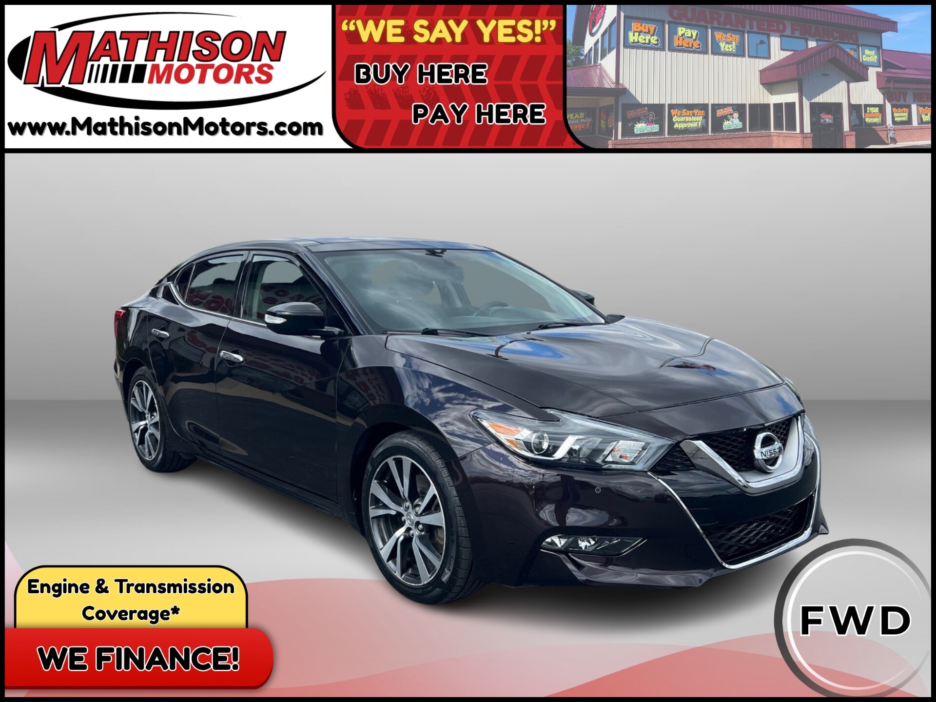  JP Motors Inc DBA Mathison Motors - 2017-NISSAN-MAXIMA-MATHISON-MN-Stock=25481