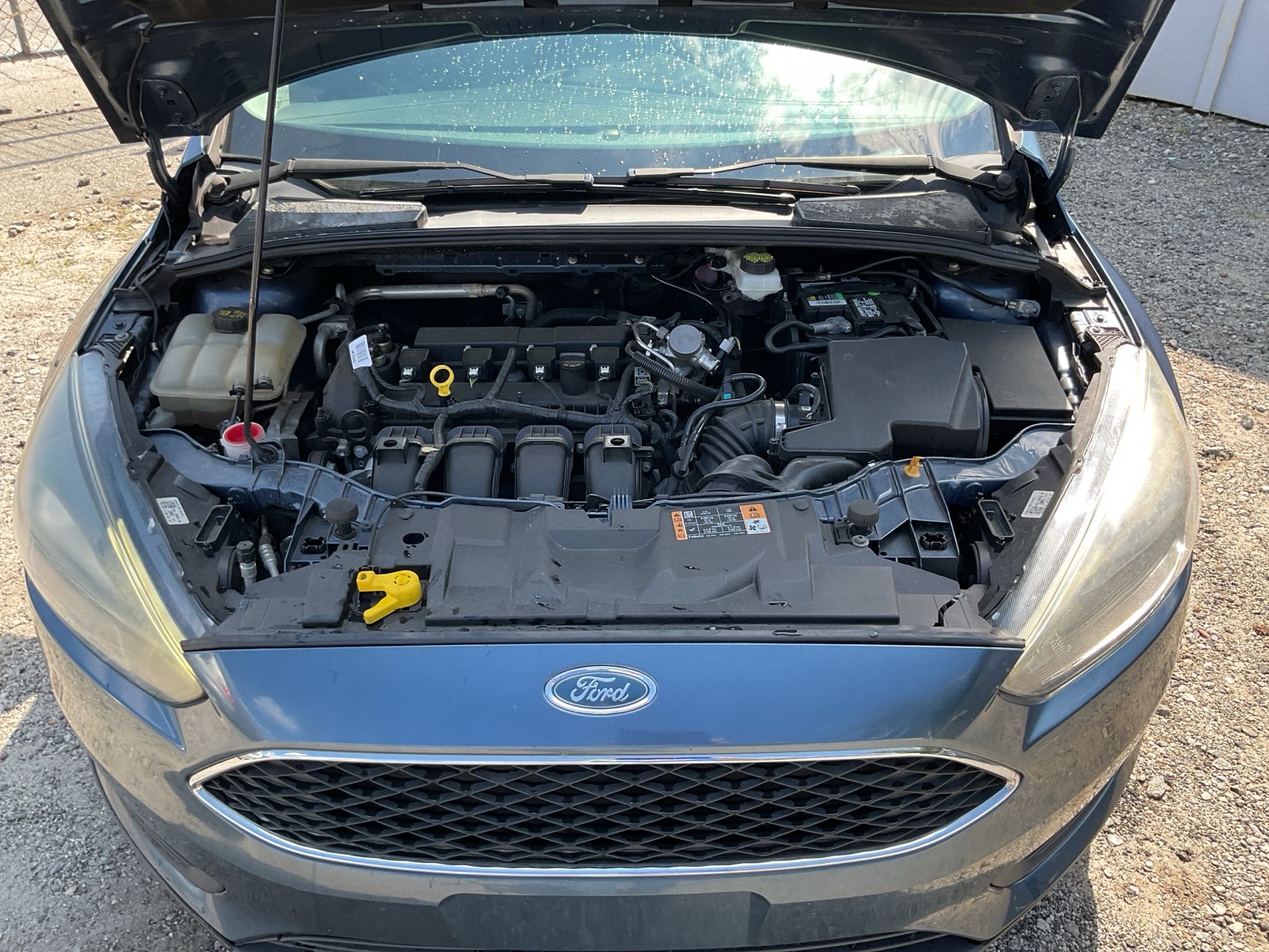 MASTERCARS AUTO GROUP INC. - Used vehicle - Sedan FORD FOCUS 2018