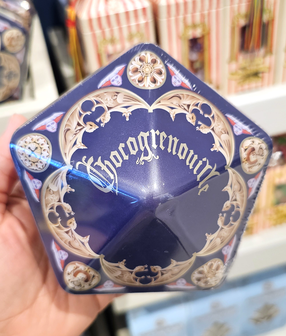 Wizarding World of Harry Potter Universal Studios Parks FRENCH