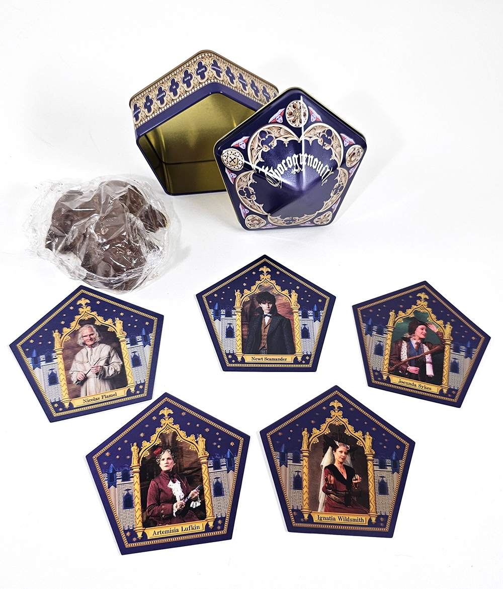 Wizarding World of Harry Potter Universal Studios Parks FRENCH