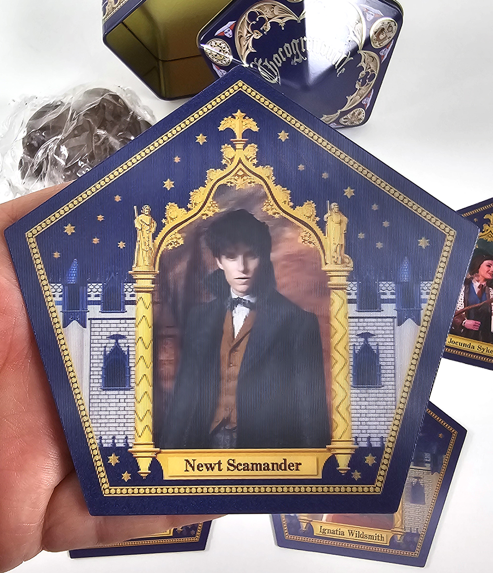 Wizarding World of Harry Potter Universal Studios Parks FRENCH