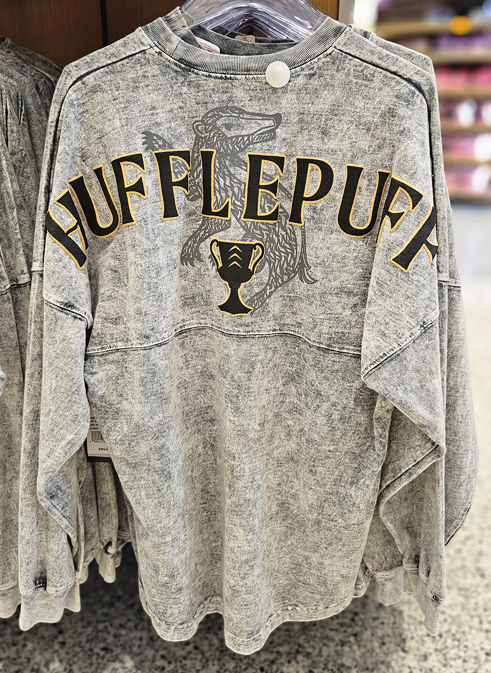 Wizarding World of Harry Potter Universal Studios 2025 Gray
