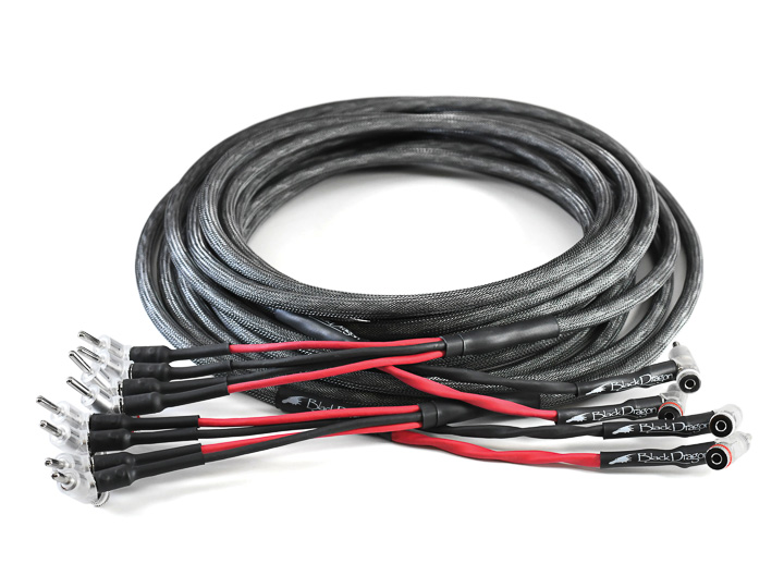 , Moon Audio Black Dragon cable system