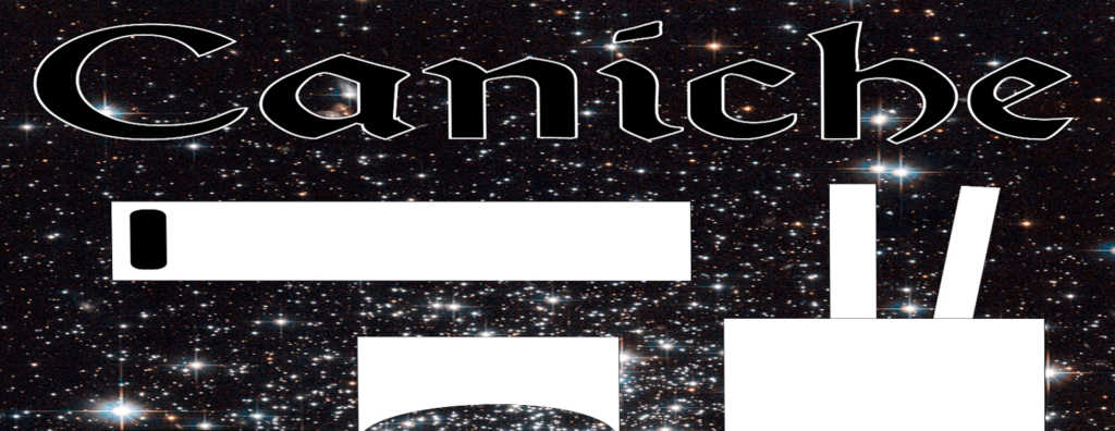 Caniche in Space Casa de Francia