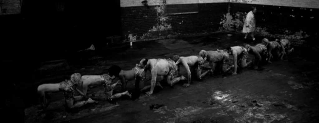 Bajo el Microscopio: The Human Centipede