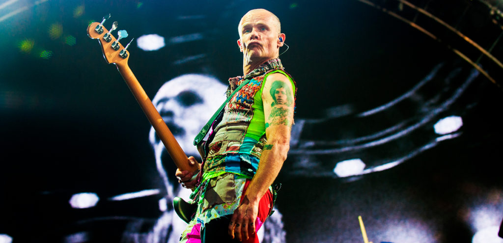 flea-acid-for-the-children-autobiografia