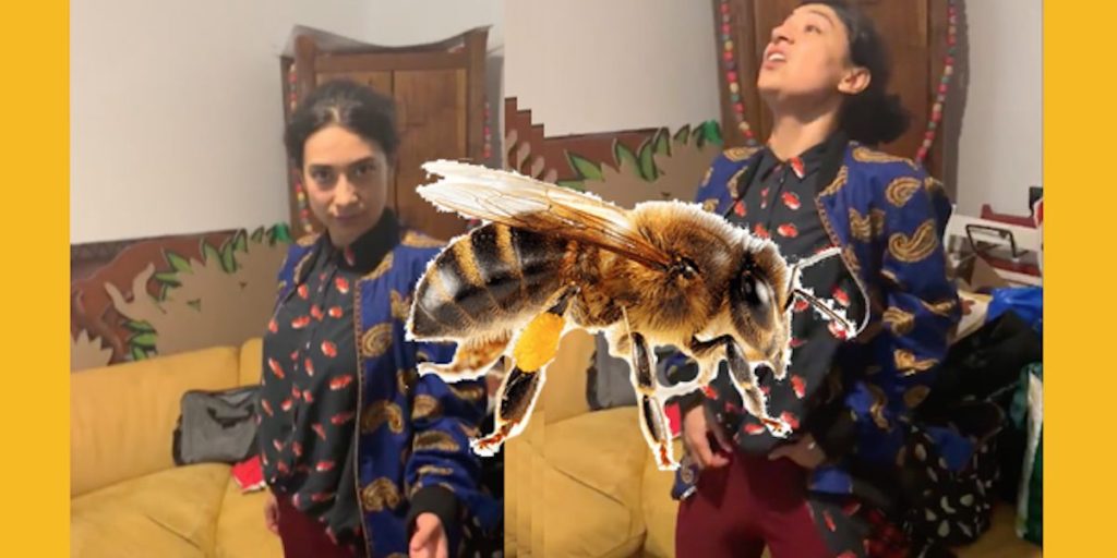 flor amargo video clase catartic pop facebook 2019