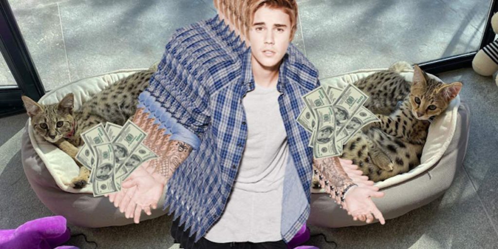 justin bieber gatos savannah boda hailey baldwin fotos